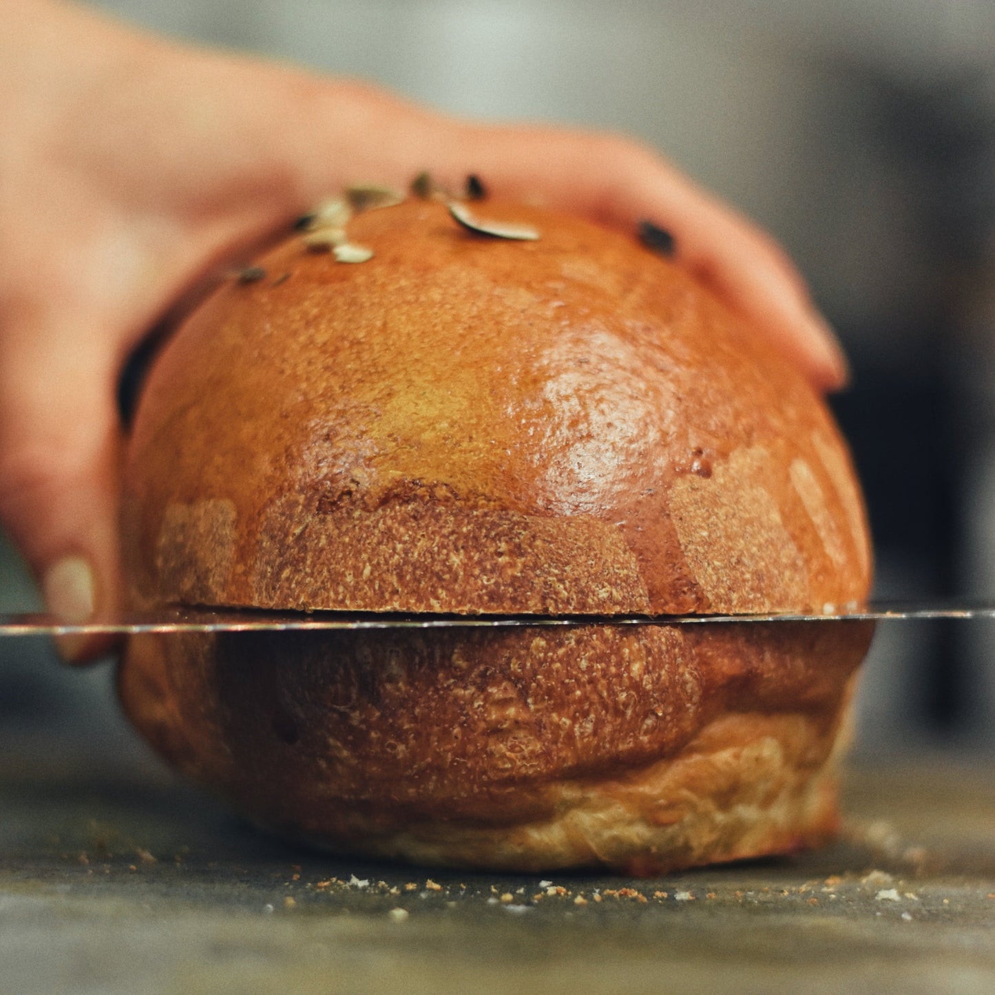 BOX BUNS CLASSICI PER HAMBURGER